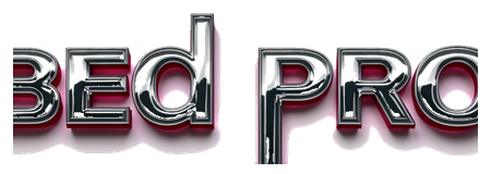 bed pro logo